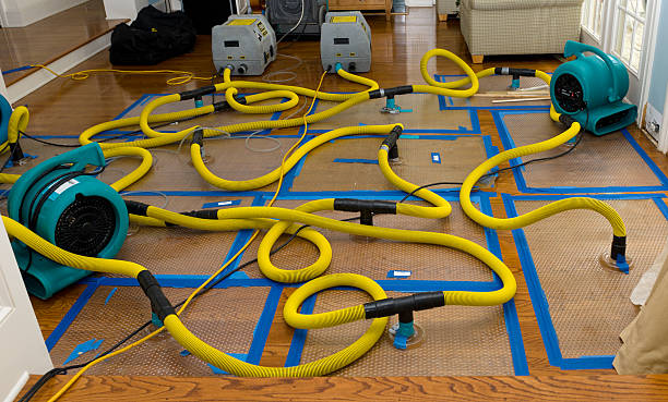 Professional Water Damage Repair technician working in Hamptonville, NC